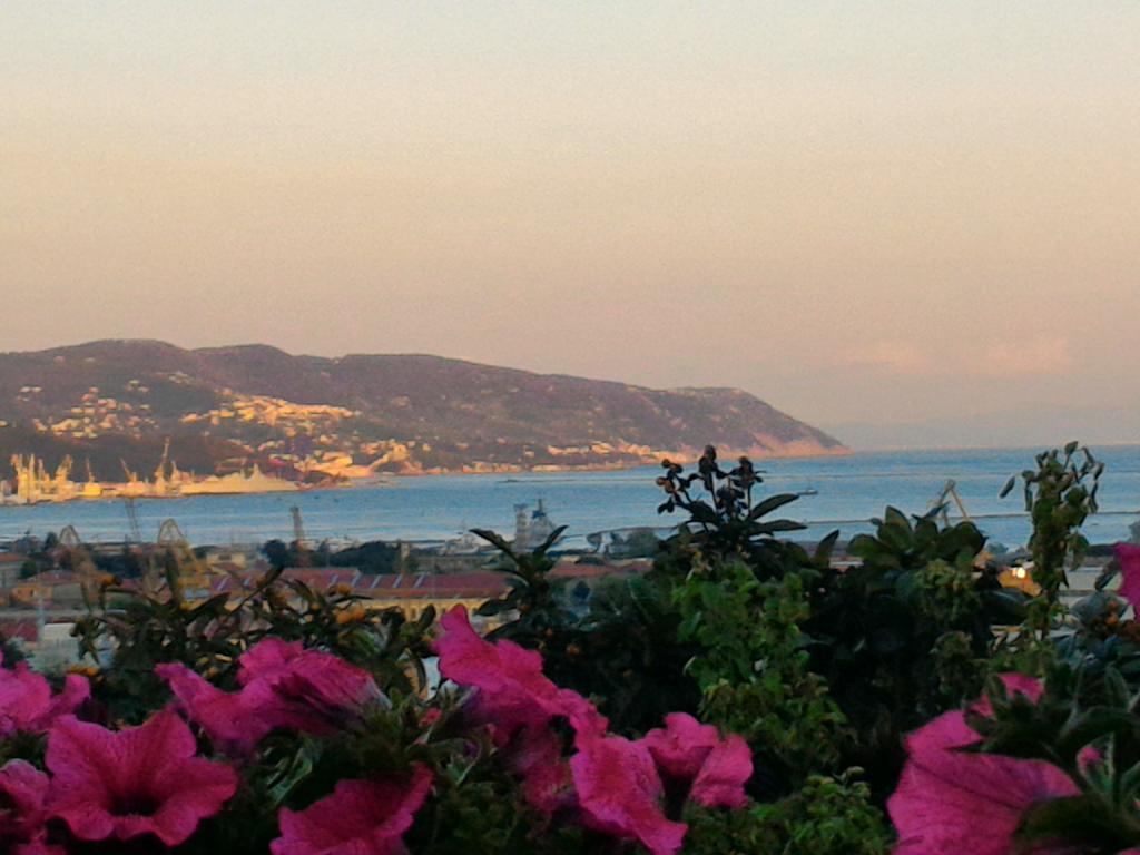 Maison d'hôtes Dreams La Spezia